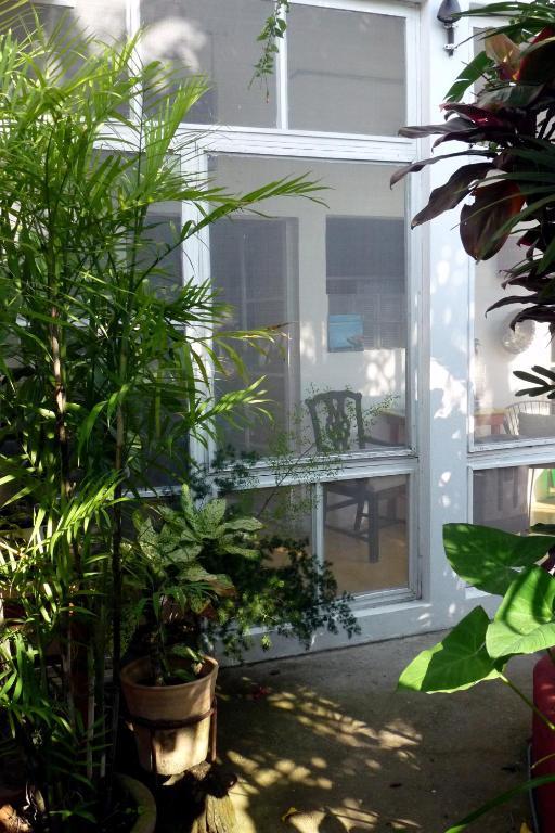 Casa De La Luz - Guesthouse 틀라코탈판 객실 사진